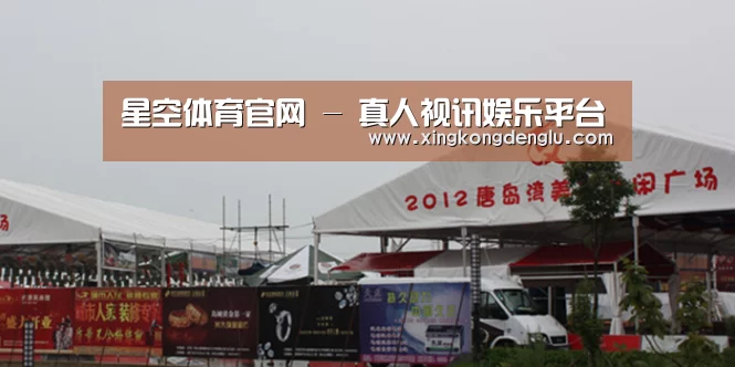 案例标题十