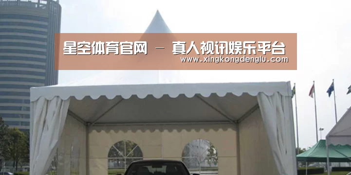 案例标题八