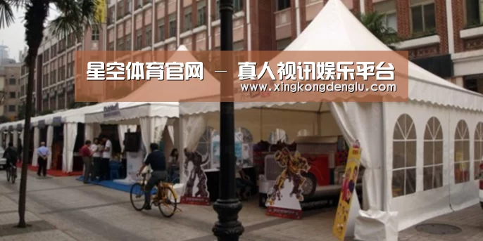 案例标题九